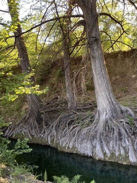 82 Private Road 3800, Utopia, TX 78884 - photo 3