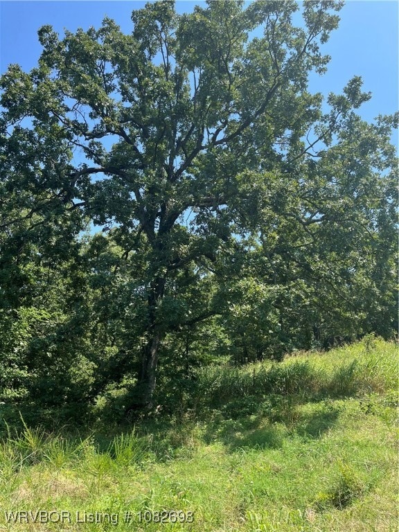 TBD E 233rd St S, Webbers Falls, OK 74470 - photo 7