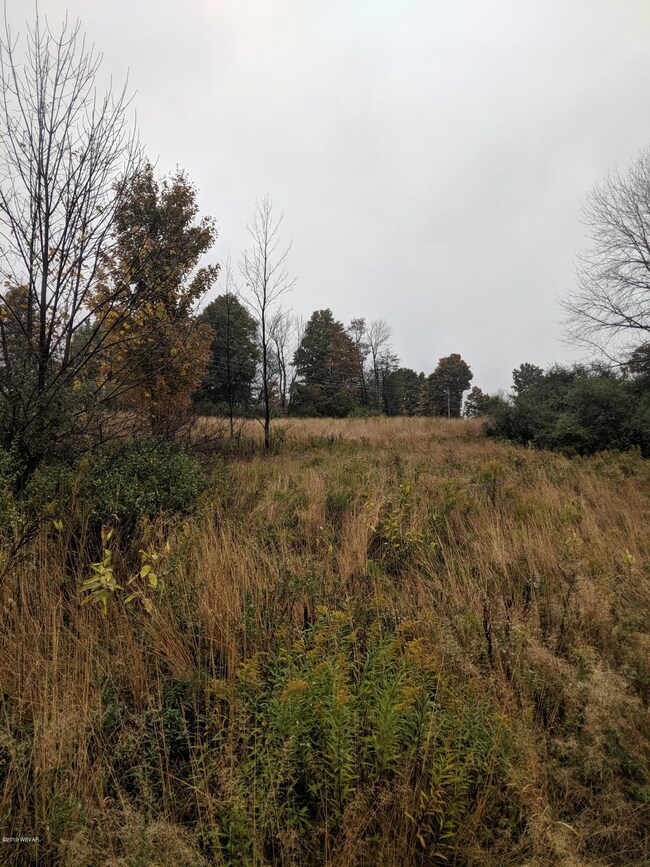 MVIMG_20191007_152728