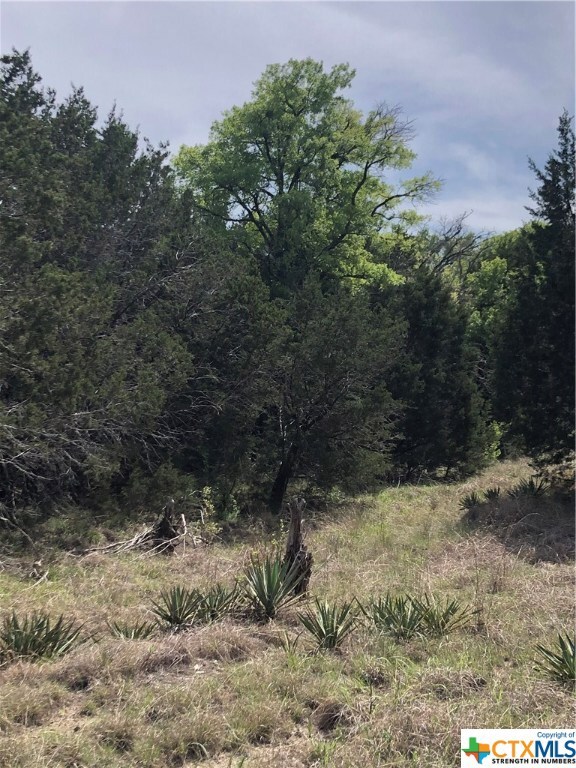 1253 Marissa Dr, Copperas Cove, TX 76522 - photo 7