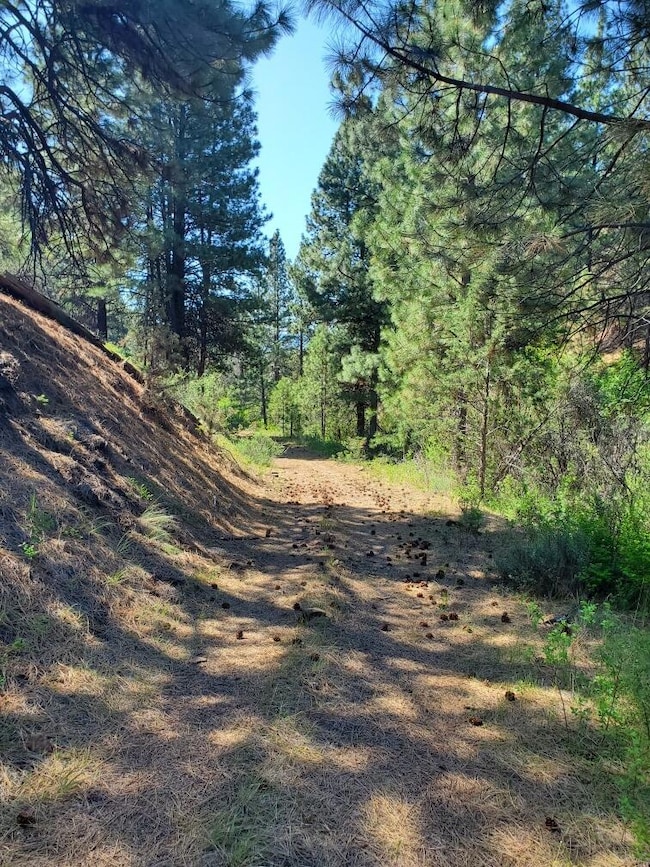 0 Wiley Creek Rd unit 2406 220202660, Mount Vernon, OR 97865 - photo 6