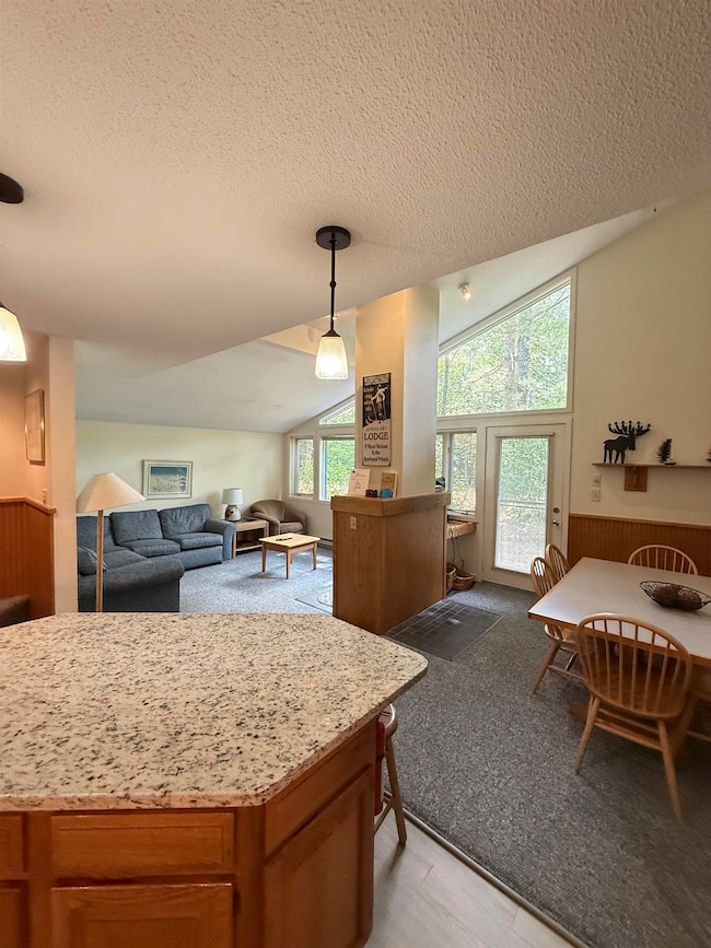 9 Mountain Sun Way unit 20C, Waterville Valley, NH 03215 - photo 3