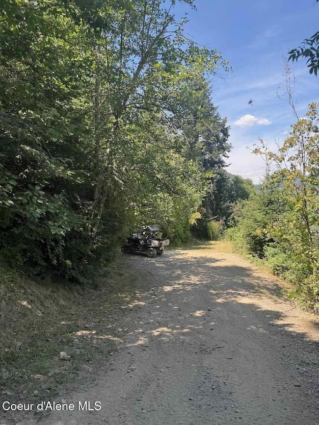 8713 E Waxwing Way, Harrison, ID 83861 - photo 3