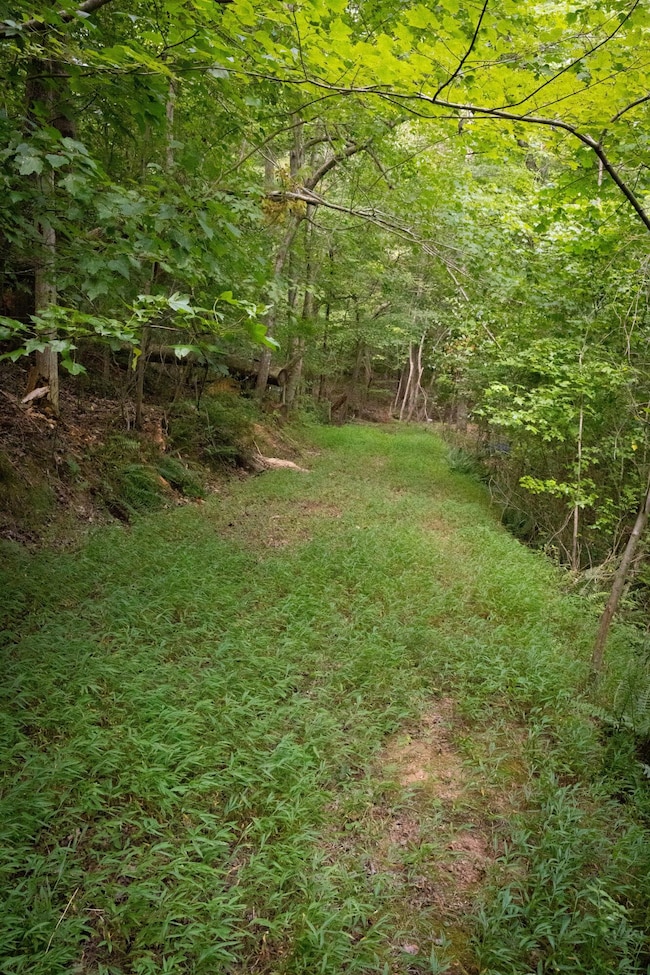 CollegedaleProperty-006