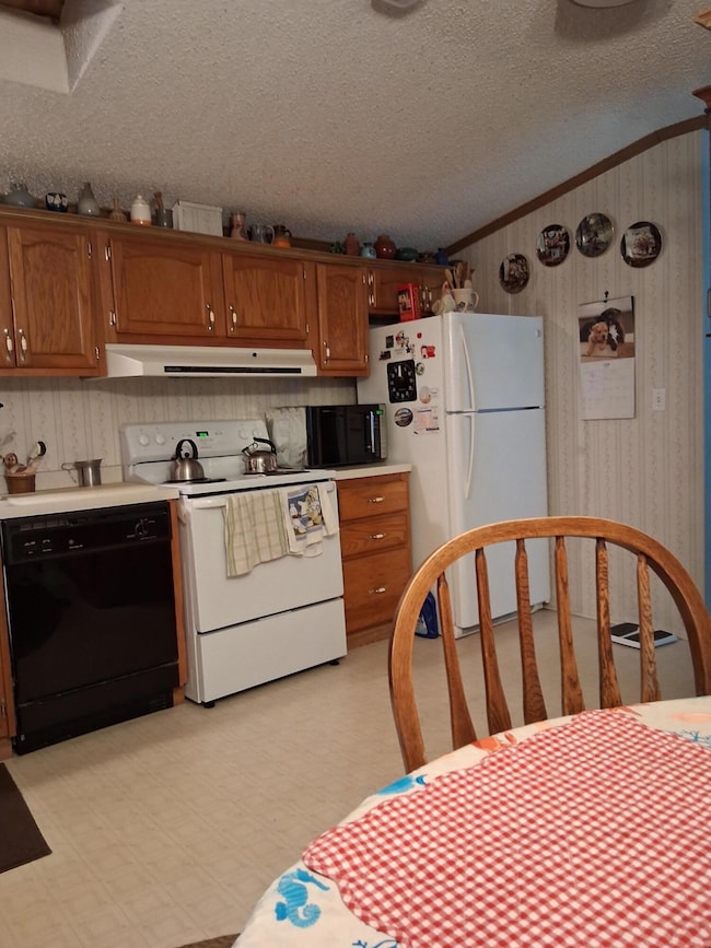 675 N Dade 181, Greenfield, MO 65661 - photo 7