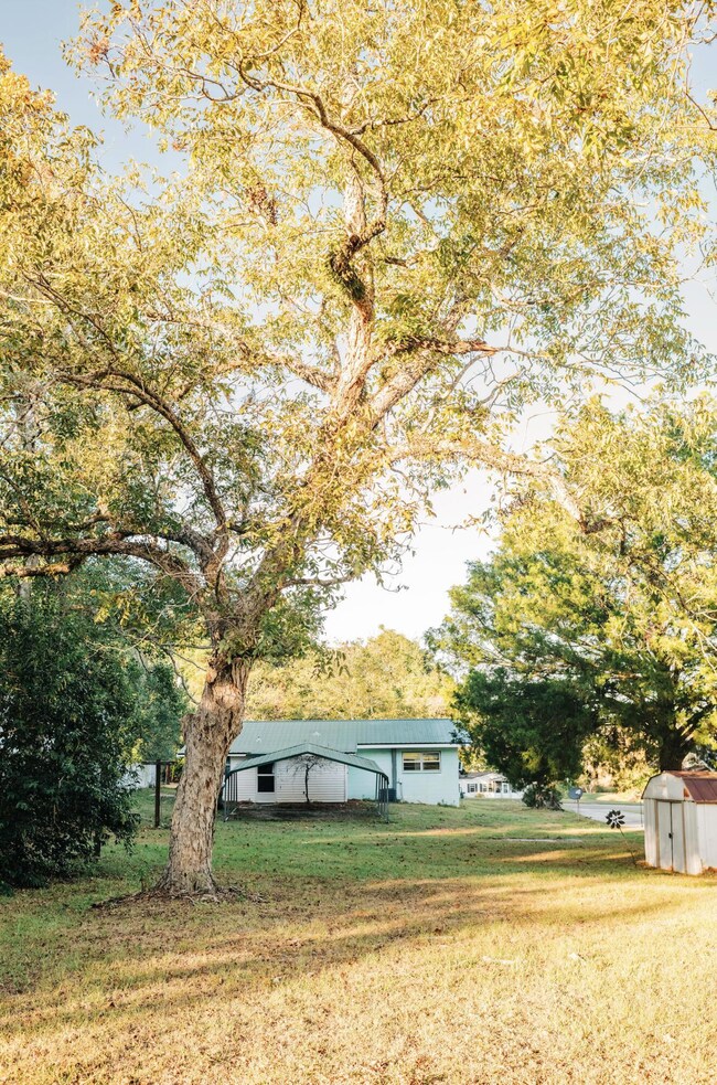 23186 Dewight Stone Ave, Florala, AL 36442 - photo 6