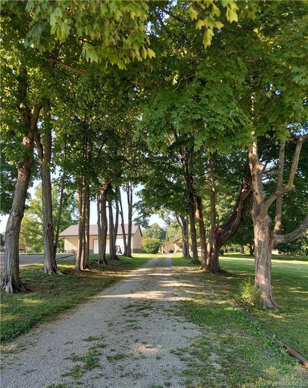 Lovely tree lined drive.