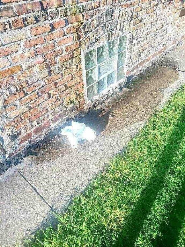 1061 Tyler St, Gary, IN 46402 - photo 4