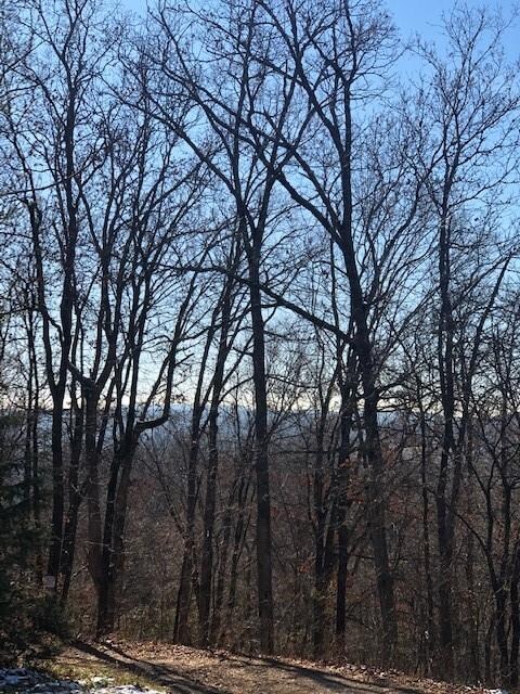 11763 Bunyard Rd, Winslow, AR 72959 - photo 2