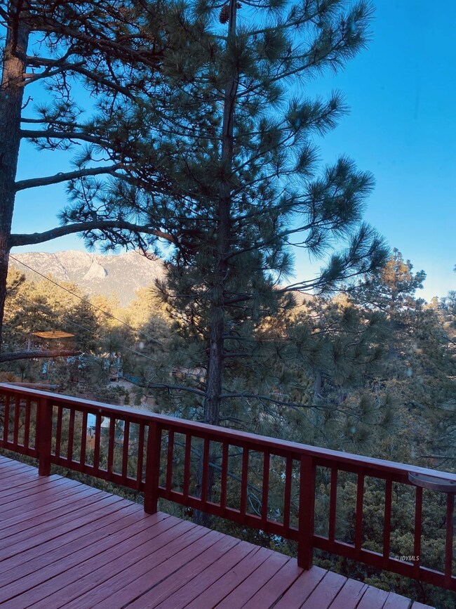 View Back Porch Deck