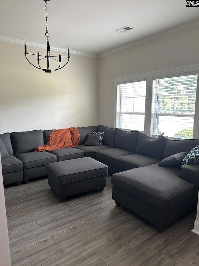 524 Triumph Rd, Chapin, SC 29036 - photo 7