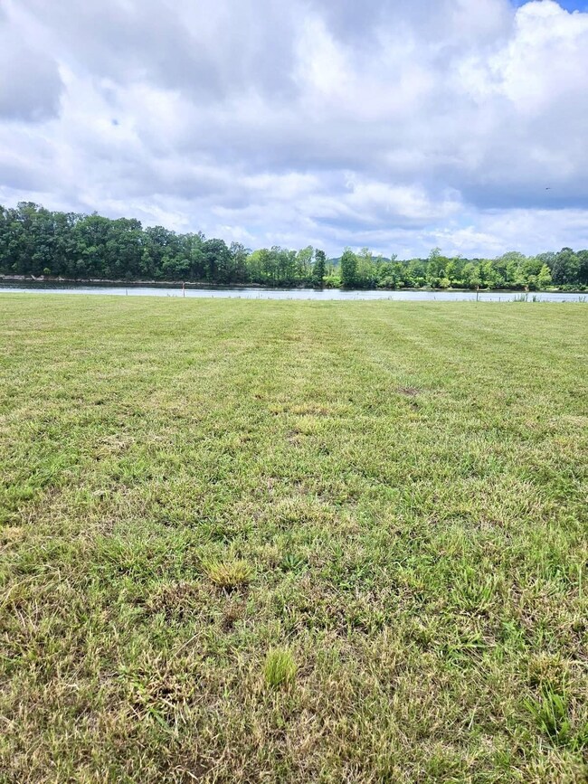 1505 Hardin Bottom River Rd, Clifton, TN 38425 - photo 3