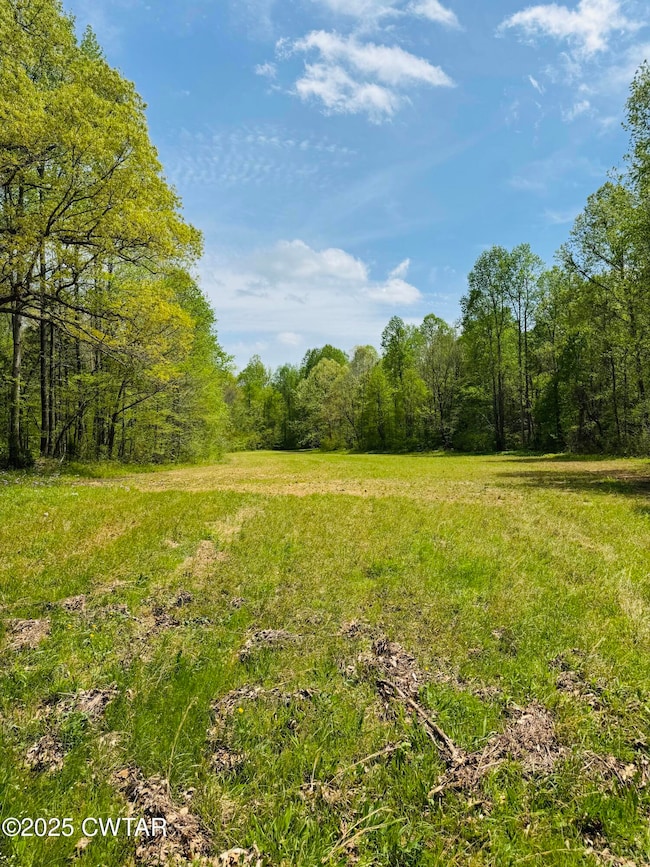 0 Highway 100, Medon, TN 38356 - photo 5