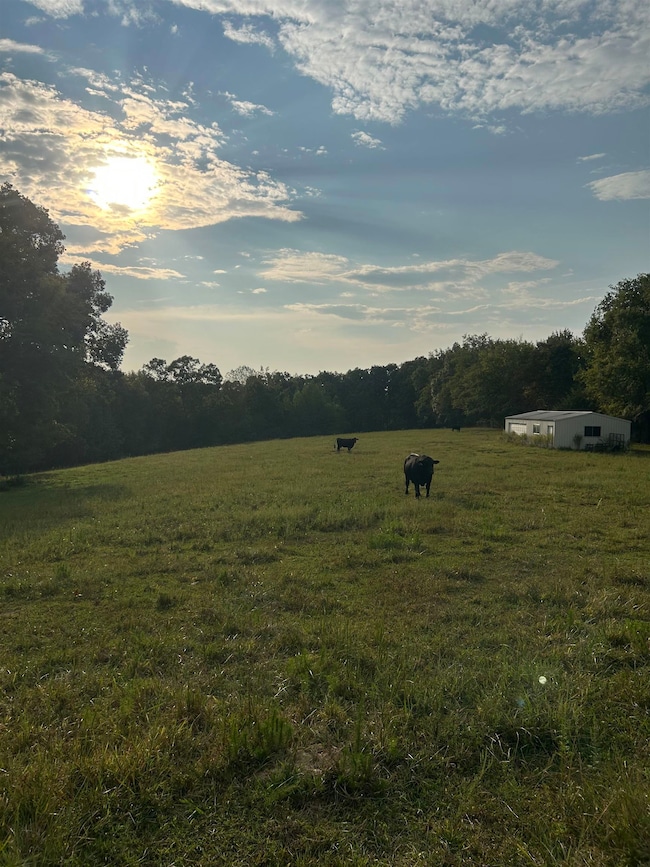 8285 Barker Rd, Athens, AL 35614 - photo 6