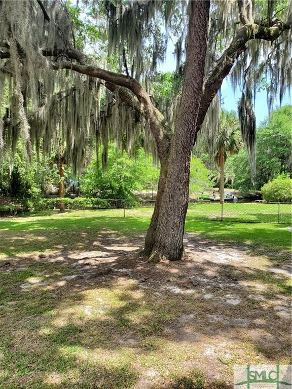Shady spot in the yard