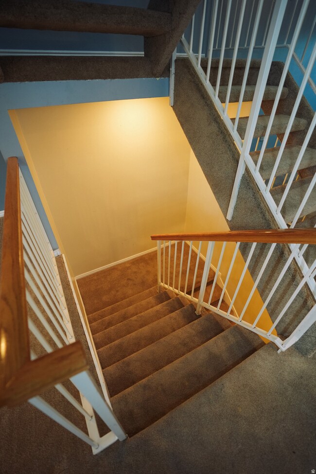 Stairway with carpet and baseboards