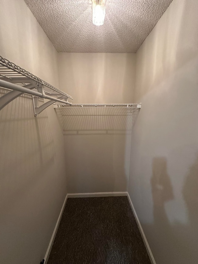Walk in closet featuring carpet
