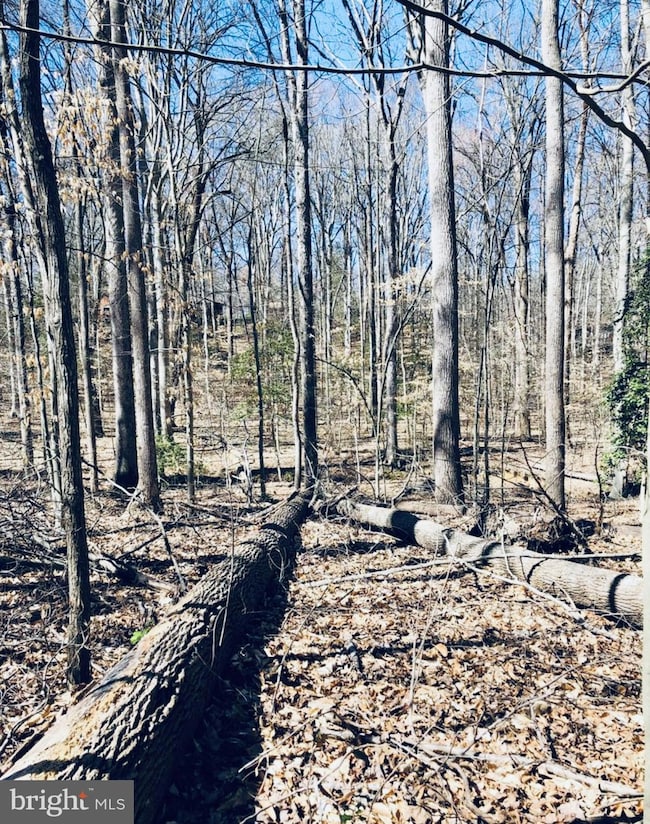 12357 Purcell Rd, Manassas, VA 20112 - photo 5