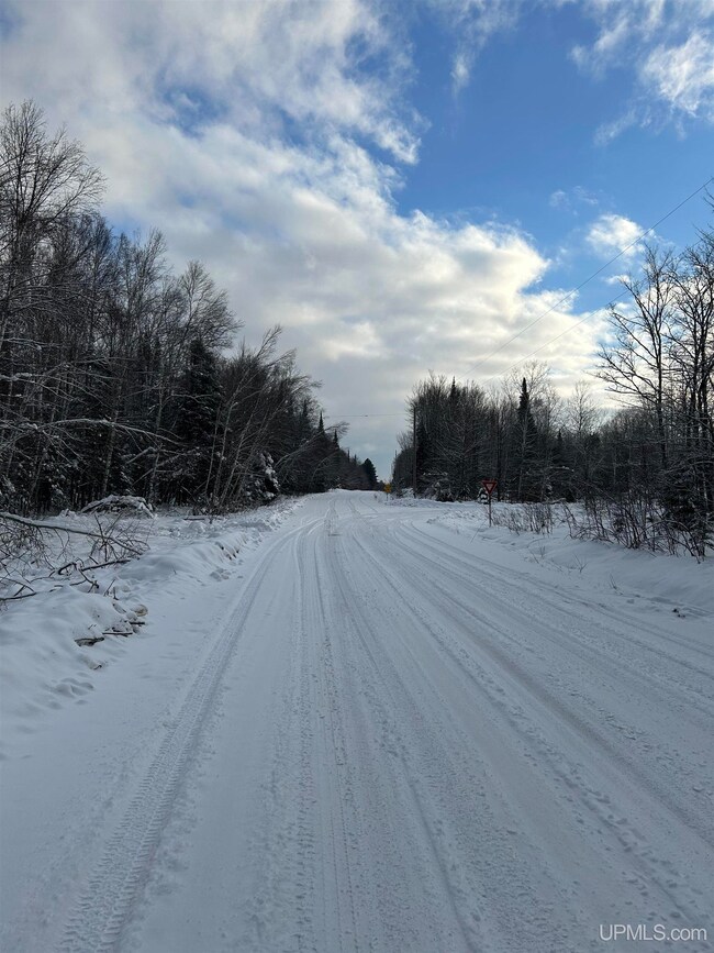 TBD Lot 1 Whitetail Dr, Torch Lake Township, MI 49945 - photo 6