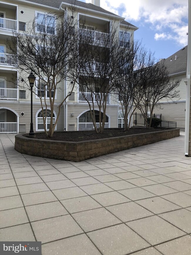 4550 Strutfield Ln unit 2417, Alexandria, VA 22311 - photo 2