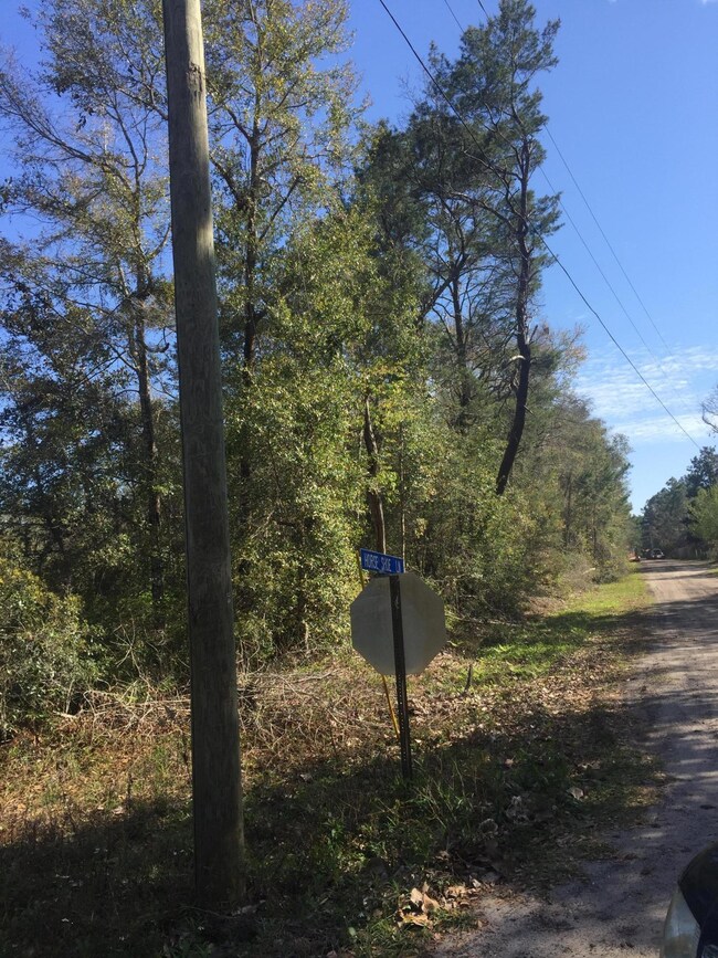 Piney Point Rd and Horseshoe LN