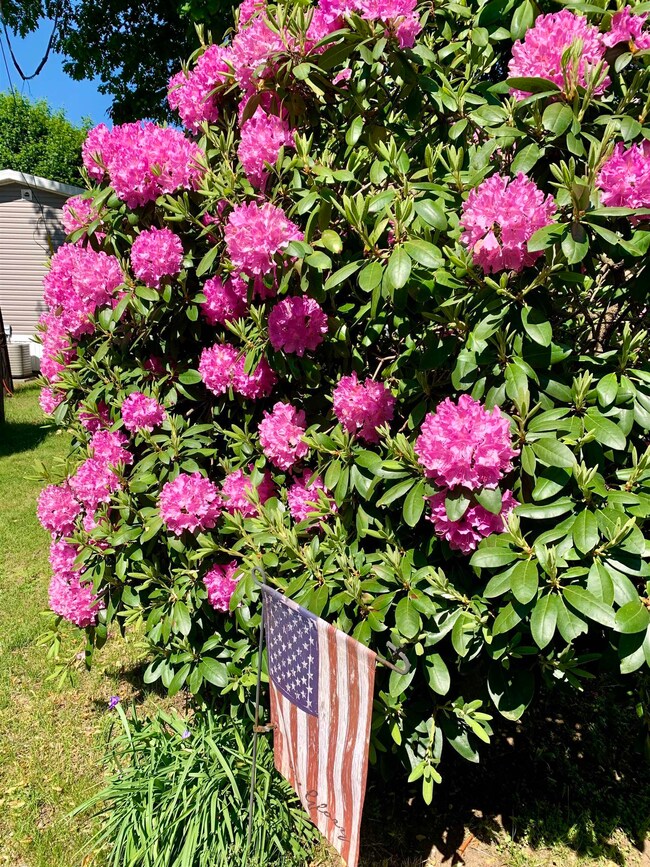 21 Chestnut Rd, North Hampton, NH 03862 - photo 5