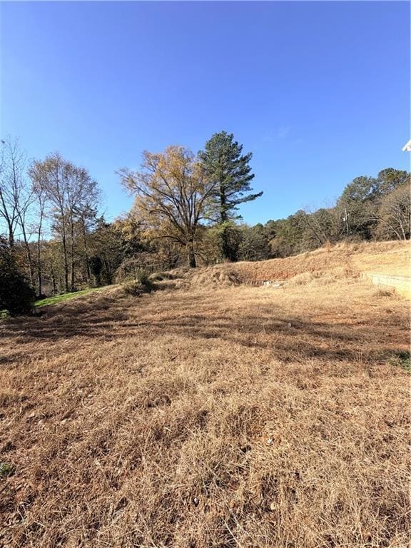 117 Jackson St NE, Rome, GA 30161 - photo 3