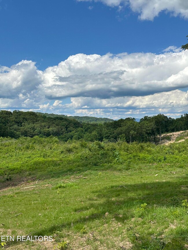 TBD Rd, Morristown, TN 37814 - photo 4