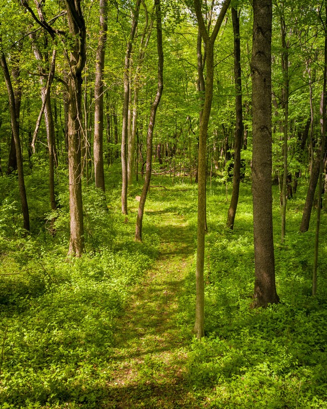 0 V L Redfield Hideaway Ln unit Parcel C 21020844, Niles, MI 49120 - photo 6