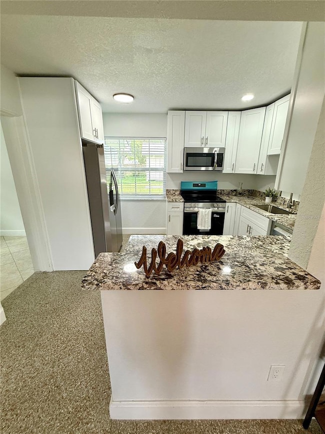 5731 66th Ave N, Pinellas Park, FL 33781 - photo 5