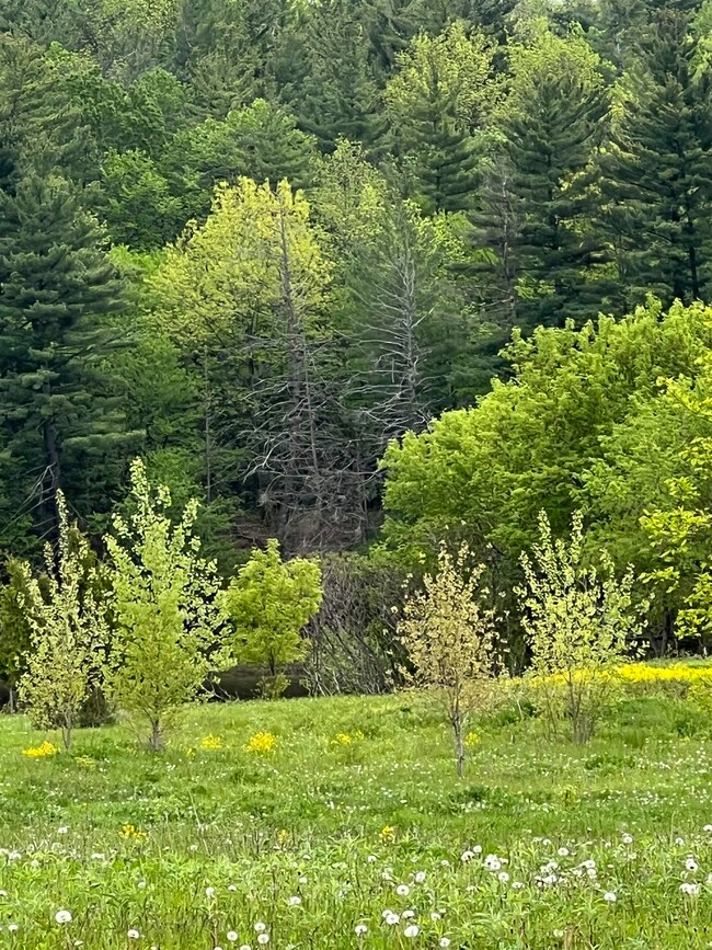 0 State Highway 37b unit 48294, Massena, NY 13662 - photo 5