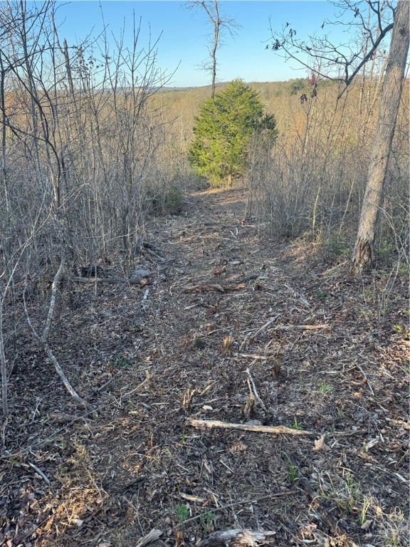 Tract 1 Nc 8374 Rd, Jasper, AR 72641 - photo 6