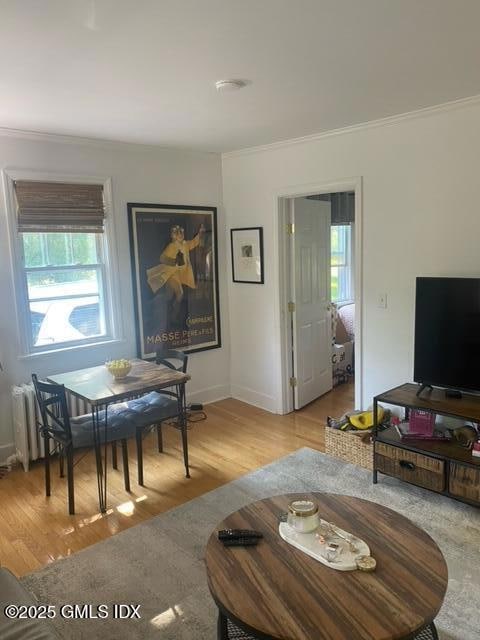 129 Halstead # 1 livingroom view 2 2022