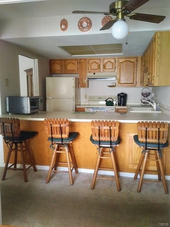 Kitchen and breakfast bar