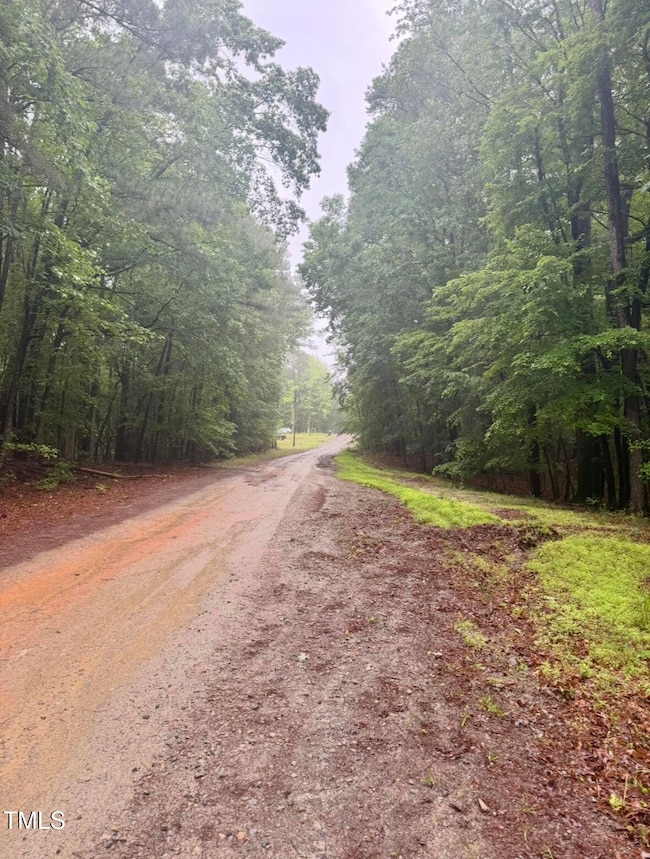 0 Chartres St unit 10135553, Buckhorn, NC 27526 - photo 3