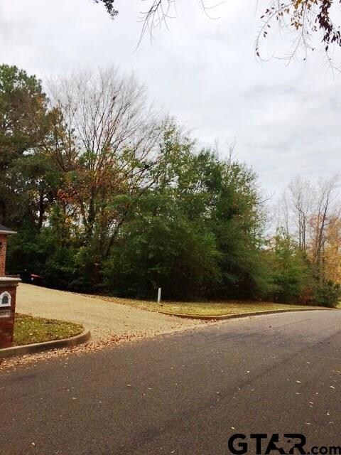 608 Raintree Dr, Tyler, TX 75703 - photo 4