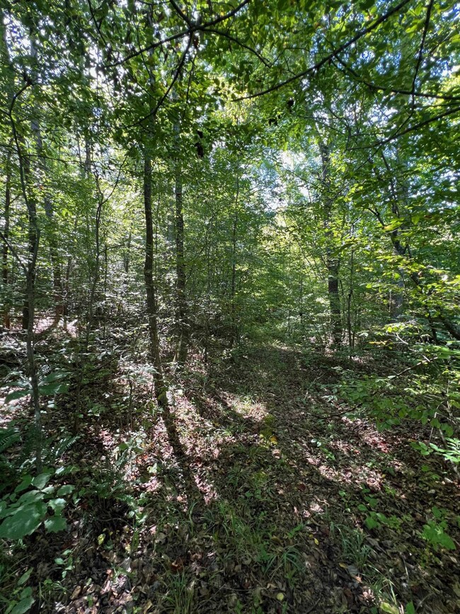 000 Long Rd, Reidsville, NC 27320 - photo 4