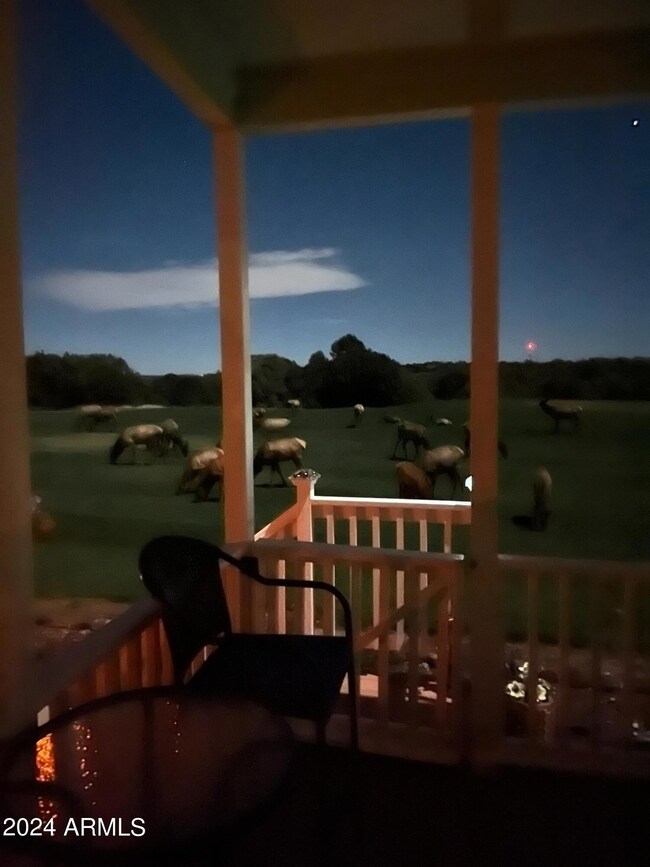 Elk