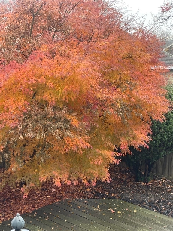 66 Lowell Rd, Winthrop, MA 02152 - photo 4