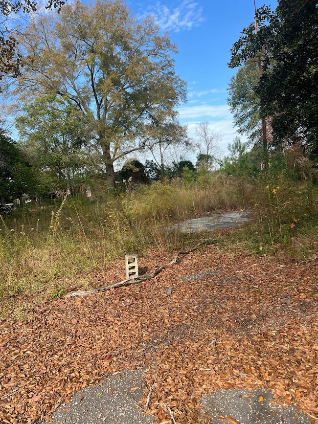 335 Myrtle Beach Hwy, Sumter, SC 29153 - photo 2