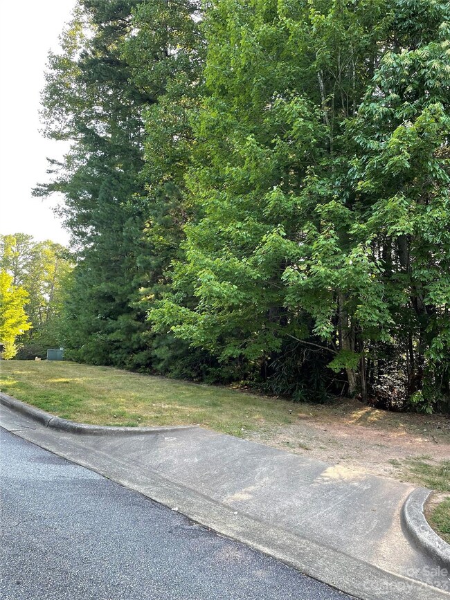 V48&49 Camptown Rd unit V48&49, Brevard, NC 28712 - photo 6