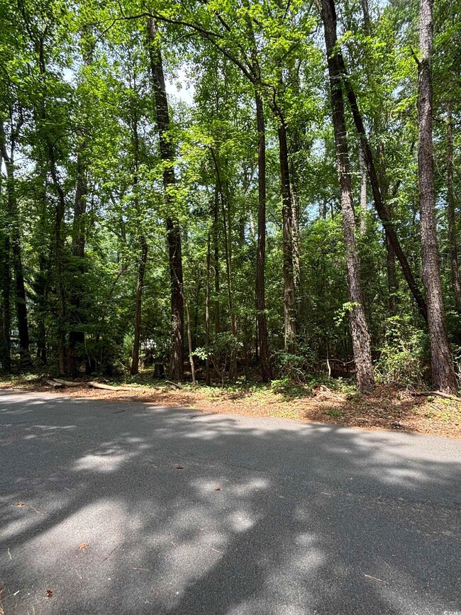View of street featuring a wooded view