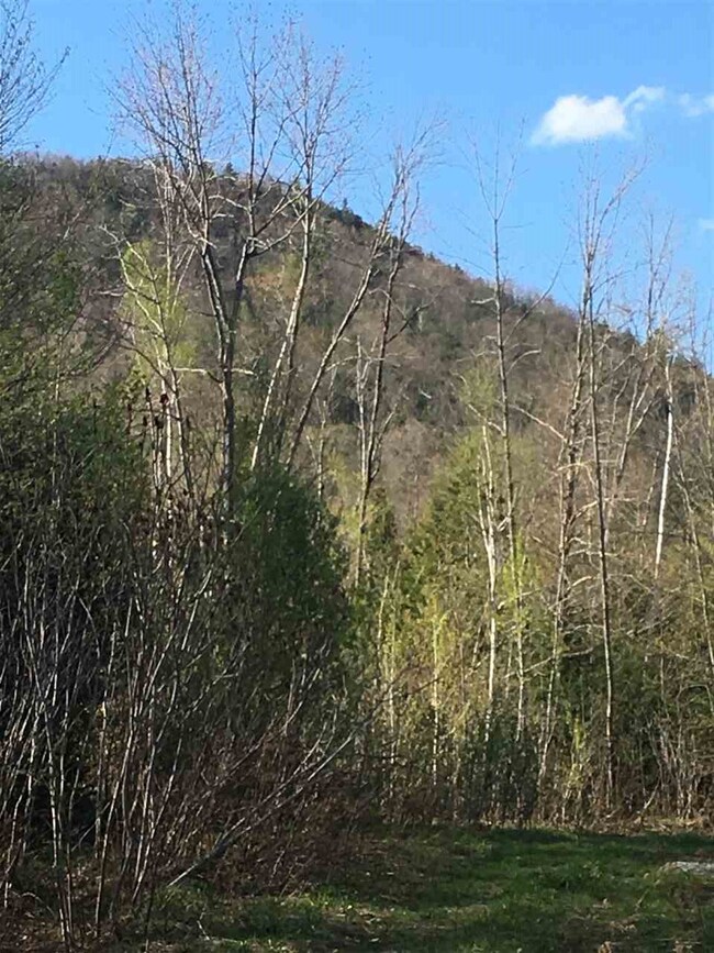 100 Gore Rd, Thornton, NH 03285 - photo 7