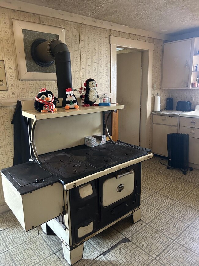 0391 kitchen wood stove not in use