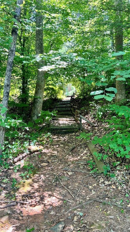 Path to Community Boat Dock