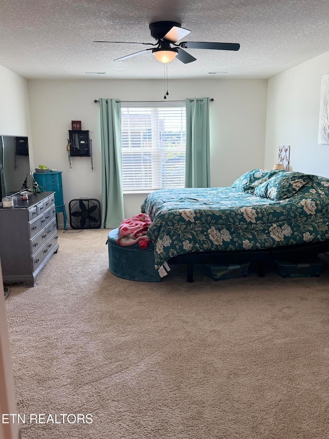 7763 Bill Keaton Dr, Corryton, TN 37721 - photo 6