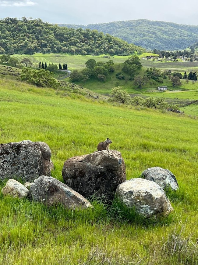 0 Hayes Ln unit ML82019382, San Martin, CA 95046 - photo 5