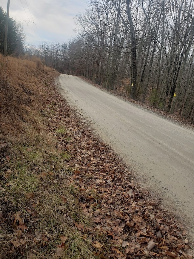 628 Mountain Creek Rd unit 14, Green Bay, VA 23942 - photo 2