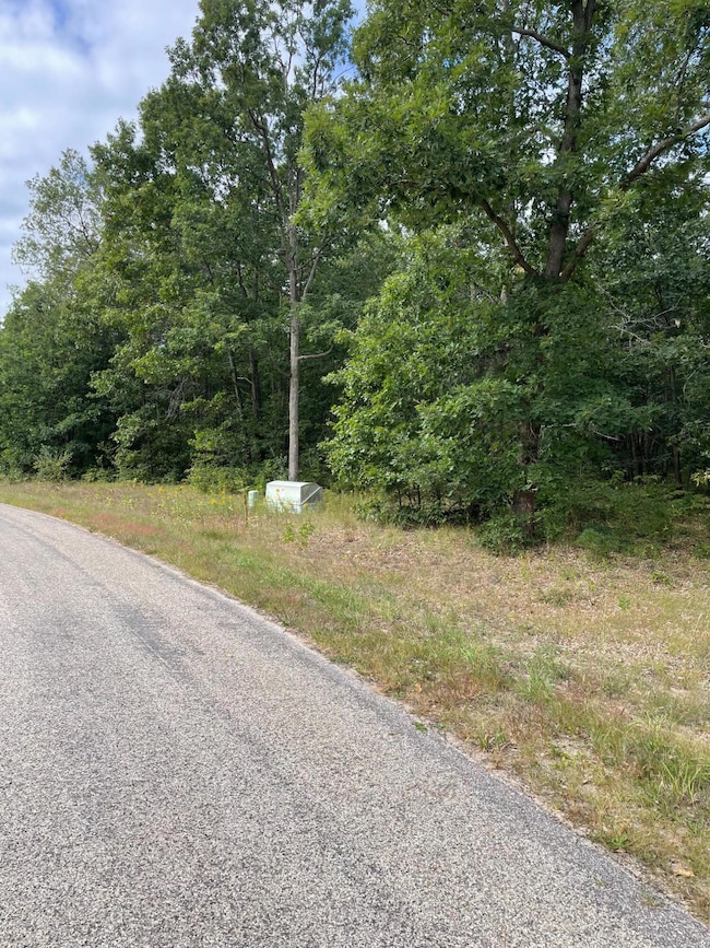 Lot 1 Renaissance Park, Manistee, MI 49660 - photo 6