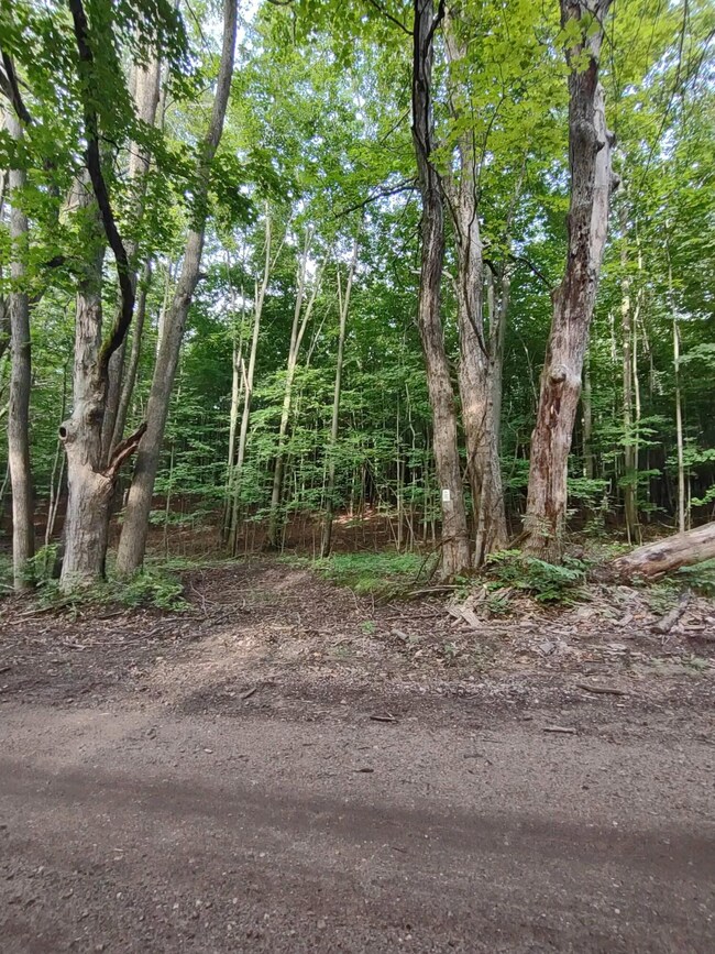 image000000 (2)